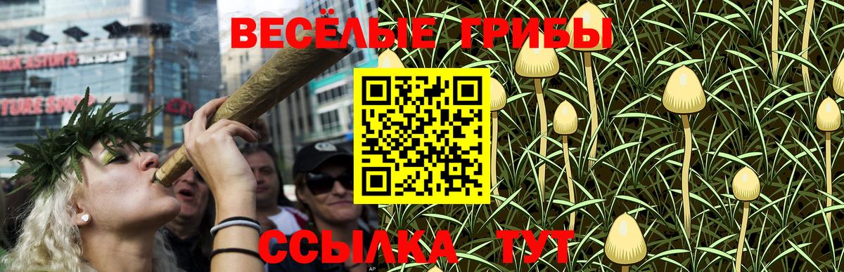 Ногинск  Галлюциногенные грибы Cubensis  Вход с VPN 